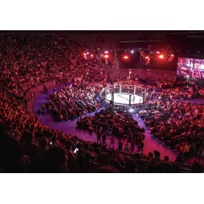 Il primo passo dell'UFC in Spagna: WOW arriva su UFC Fight Pass
